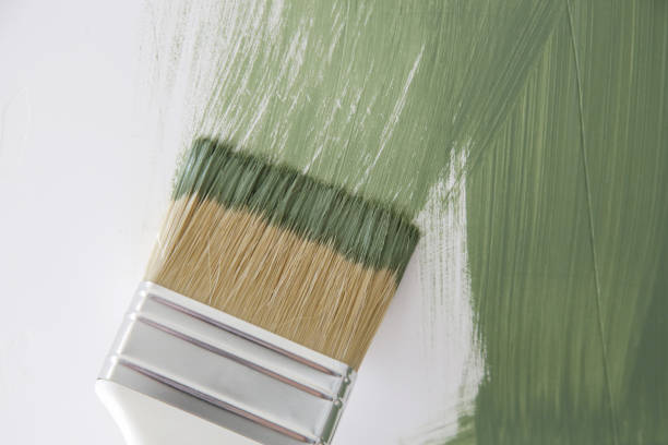 Mold Remediation for Vacation Homes in San Angelo, TX